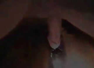 Anal sex in doggy pose with my stallion